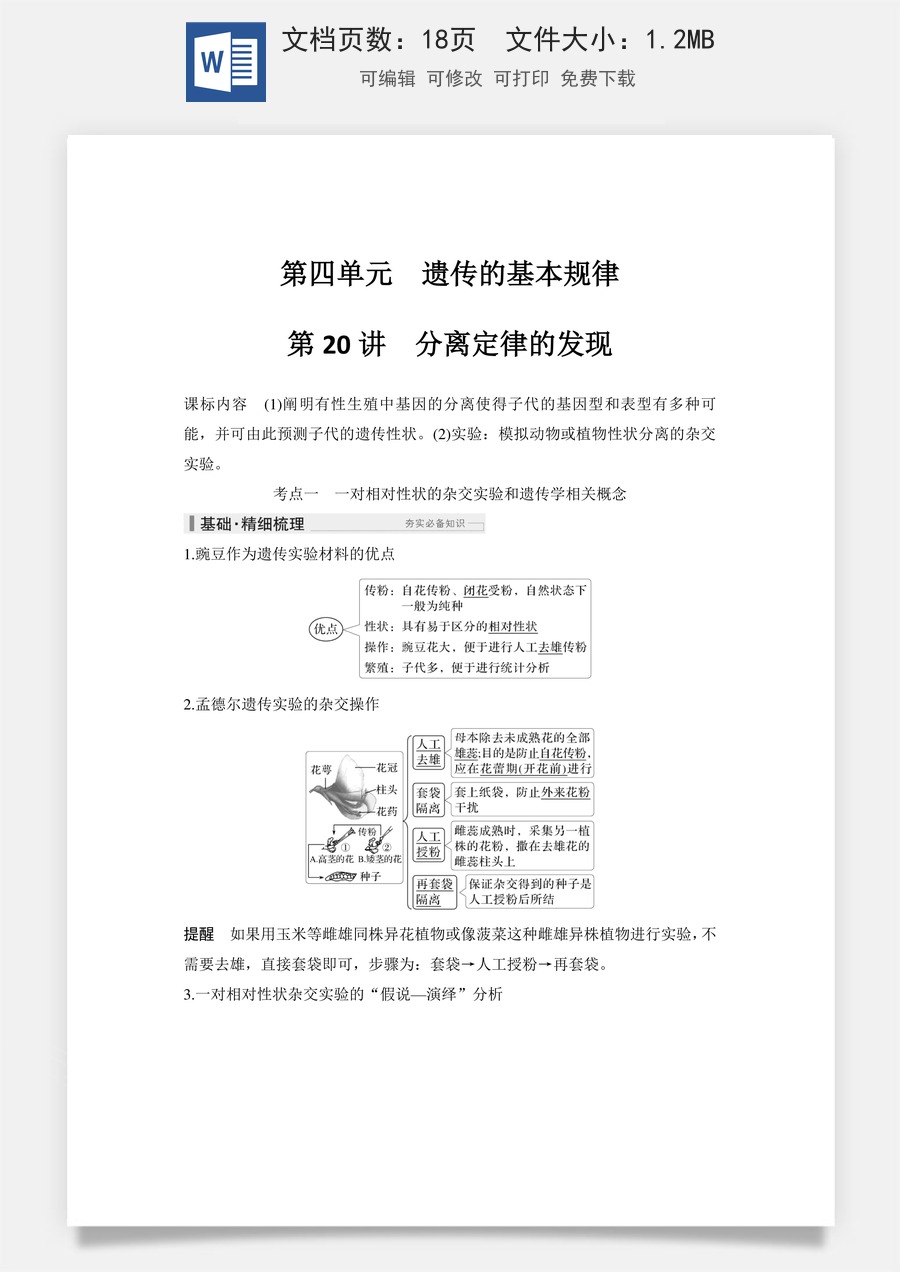 高中-高考总复习-生物-第20讲　分离定律的发现.doc